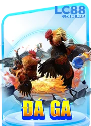 đá gà lc88